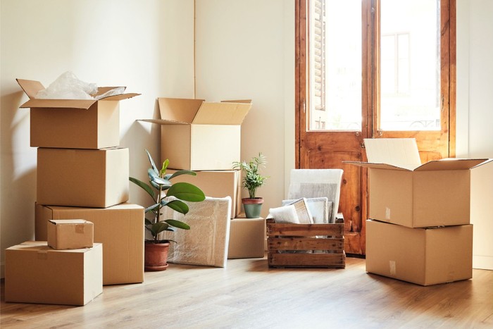 Buying Guide - What buyers should look for - Douglas Allen